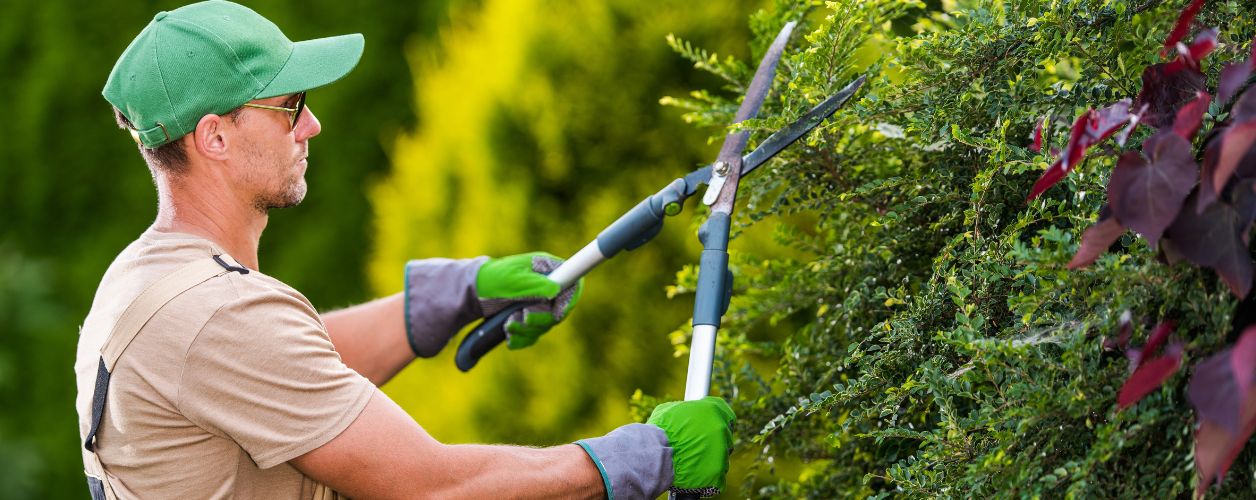How Much Does Garden Landscaping Cost