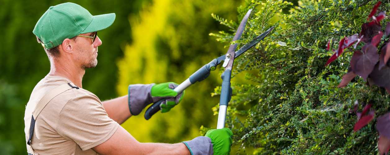 Gardening