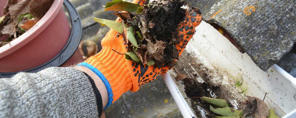 Gutter Cleaning