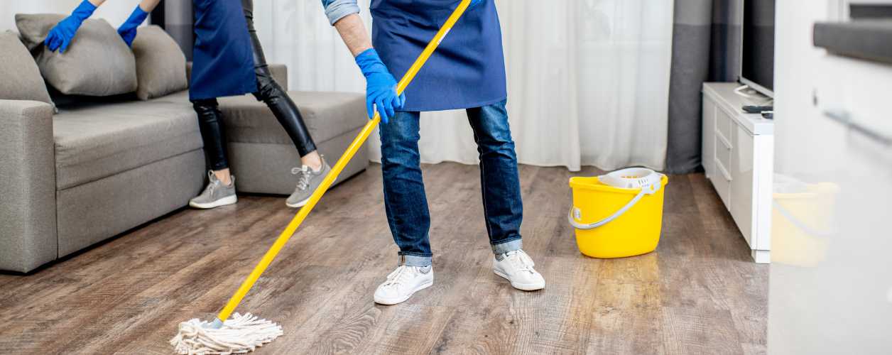 House & Apartment Cleaning