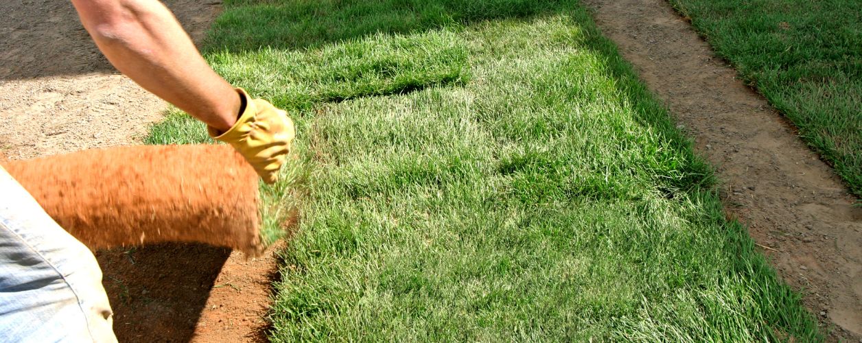 Landscapers