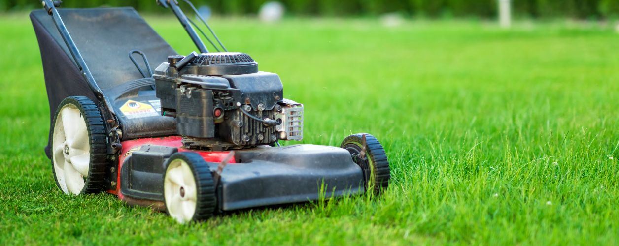 Lawn Care