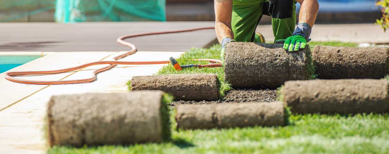 Lawn & Turf