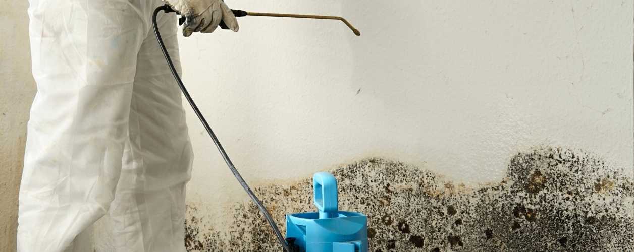 Mold Remediation