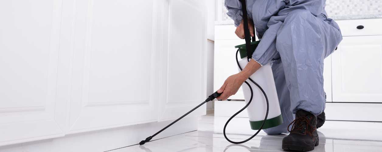Pest Control
