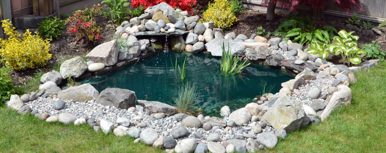 Pond Maintenance