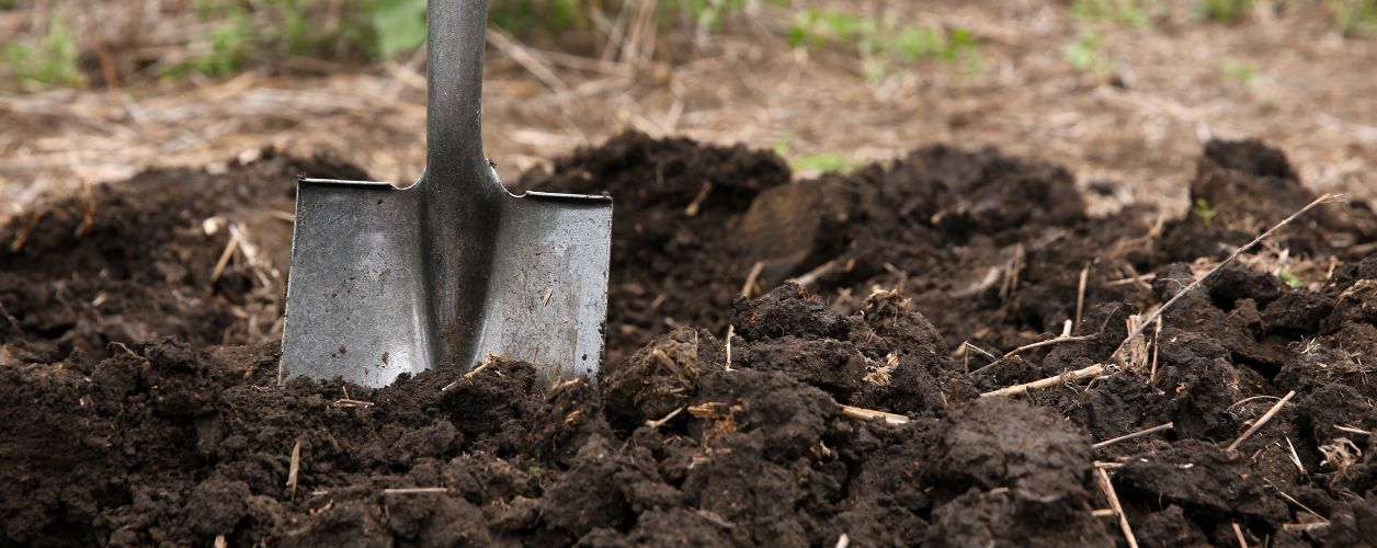 Soil & Groundwork