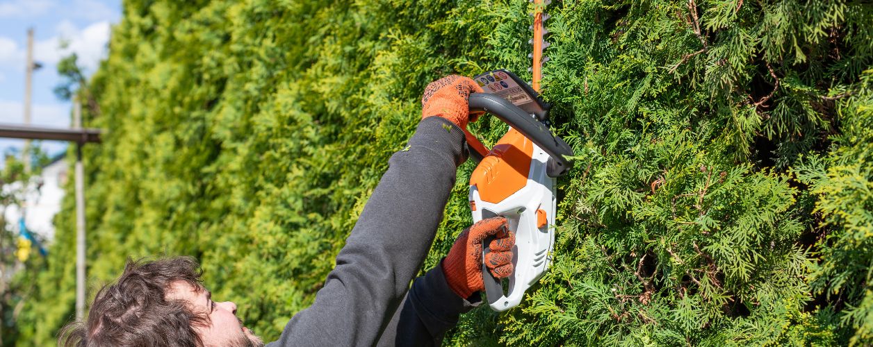 Tree Trimming