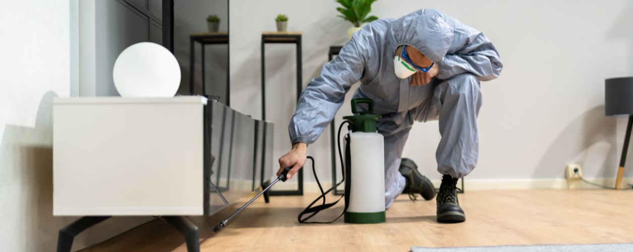 5 Signs You Need a Professional Pest Control Service