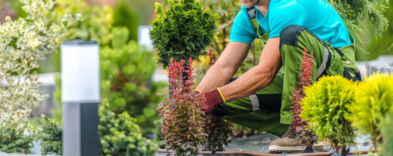 How Much Does a Gardener Cost