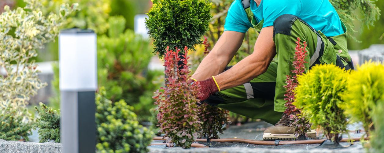Gardening Checklist