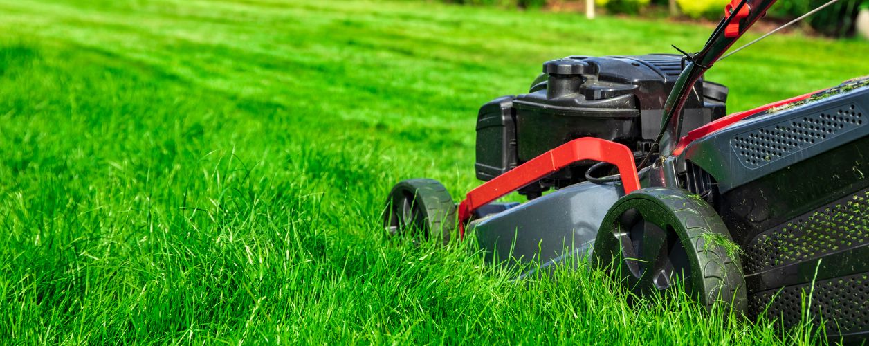 Spring Lawn Care Tips for Canadian Yards