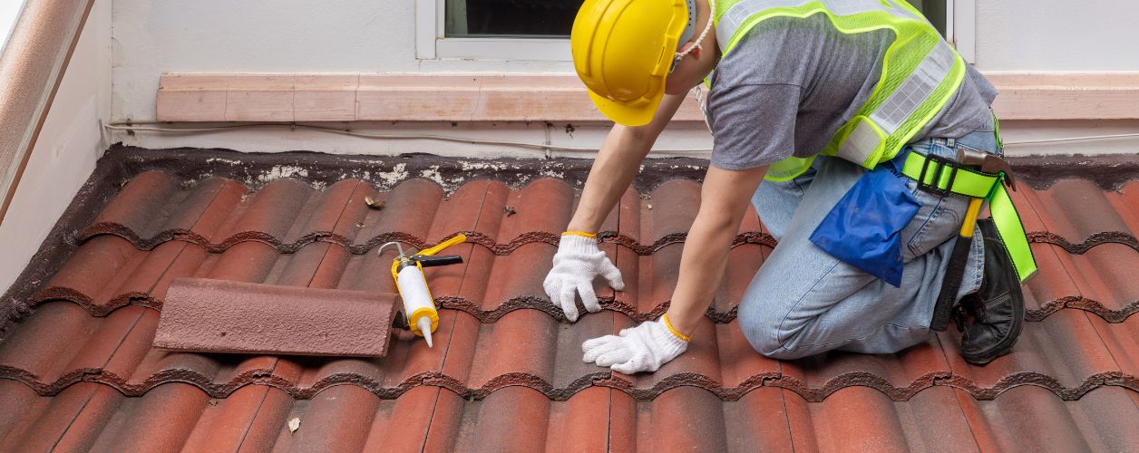 8 Signs You Need a Roof Inspection