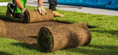How Much Does Turf Installation Cost