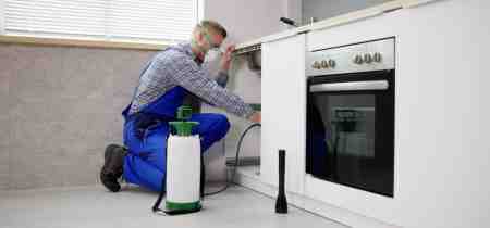 Common Household Pests in Canada